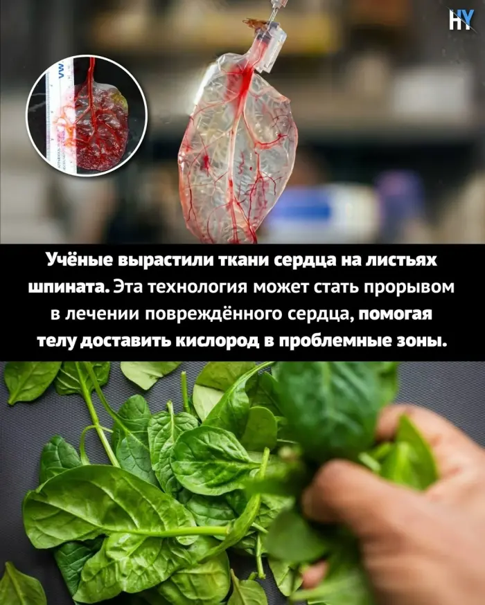 Хорошие новости, которые вы могли пропустить