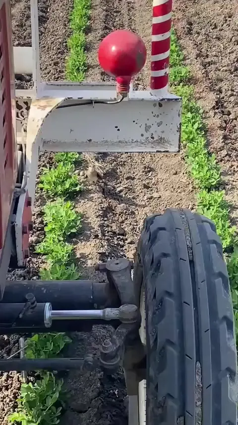 Храброе мамино сердце