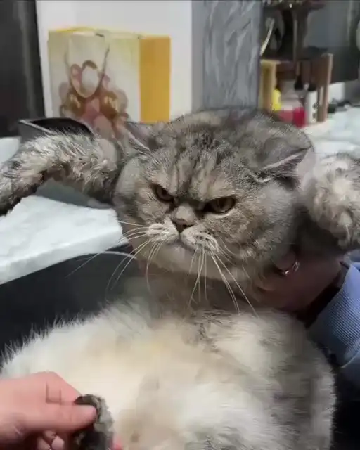 Я буду мстить ,так и знайте