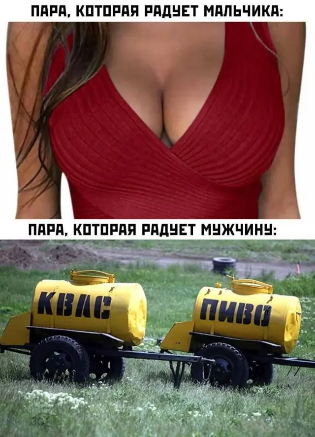 Юмор, картинки и немного хаоса