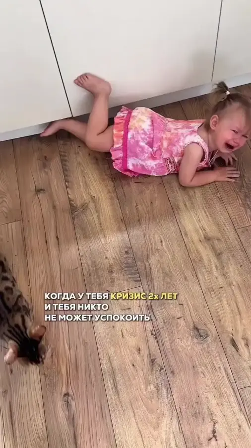 Какая помощница