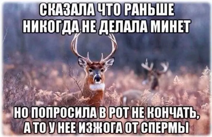 Картинки на посмеяться