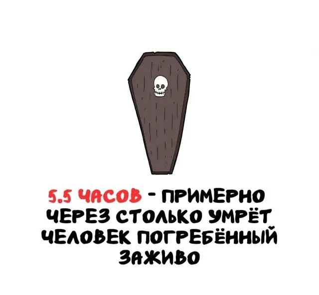 Любопытные факты