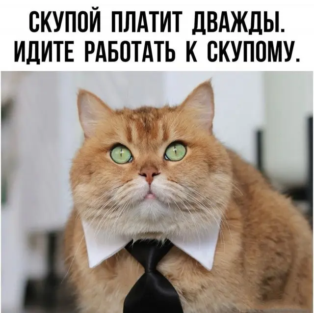Лучшие мемы, которые сегодня покорили интернет