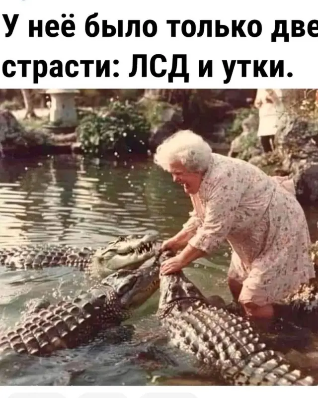 Лучшие мемы, шутки и смешные картинки дня