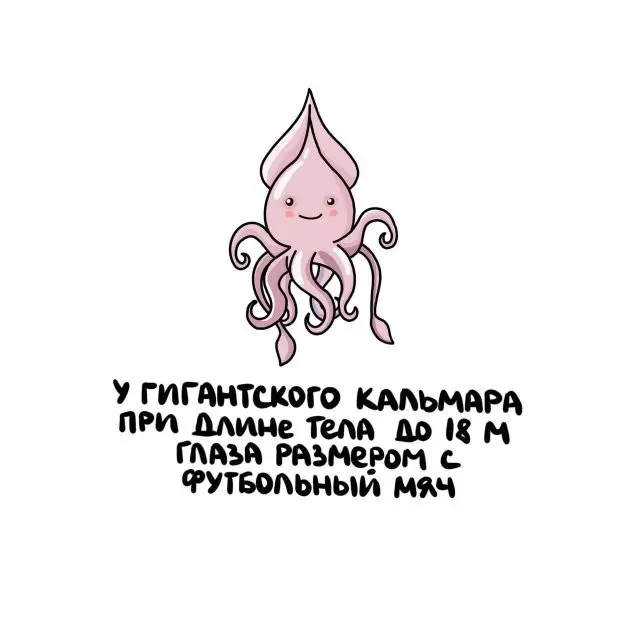 Малоизвестные факты, о которых знают не все