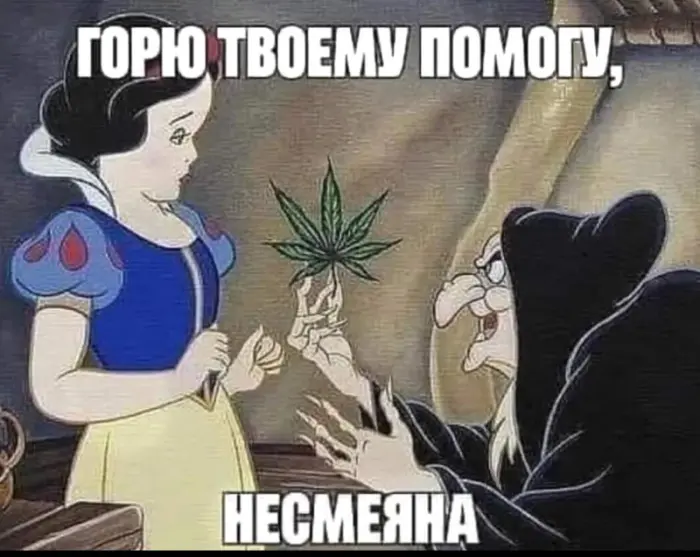 Мемотерапия начинается!