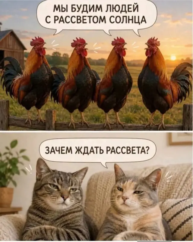 Лучшие мемы, которые стоит лайкнуть