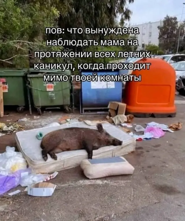 Лучшие мемы, которые стоит лайкнуть