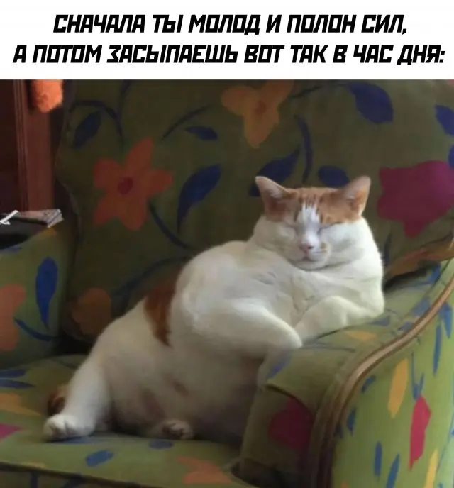 Мемы, которые сделали этот день
