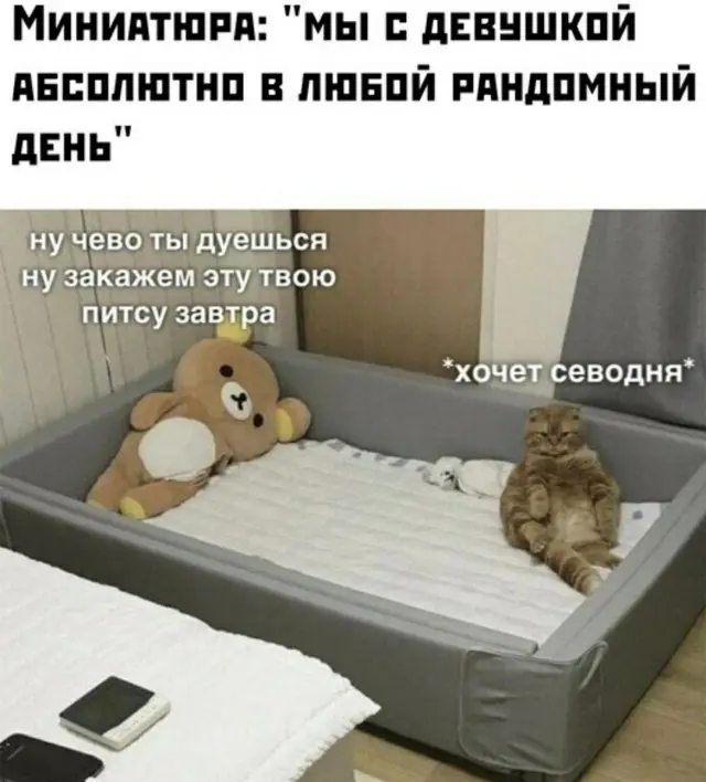 Мемы, шутки и картинки, мимо которых невозможно пройти