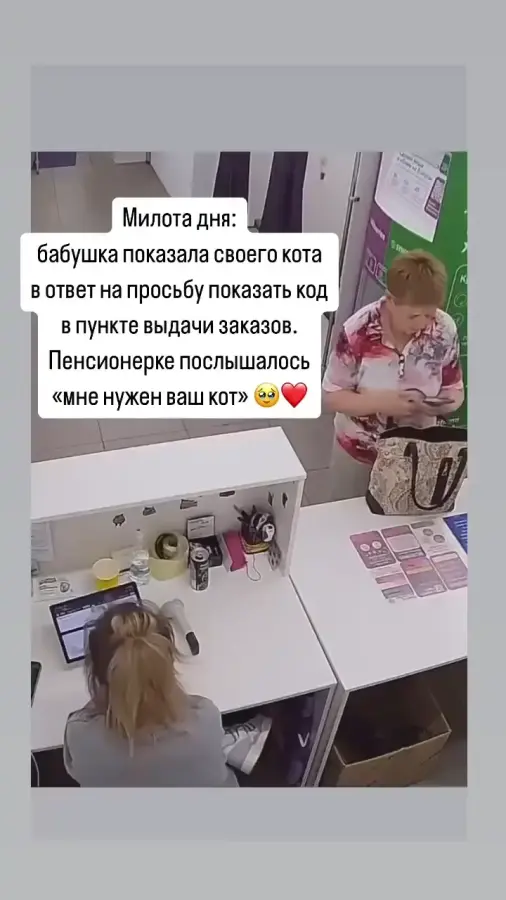 Милота: На ПВЗ бабушка вместо того, чтобы показать код, показала фото своего кота)))
