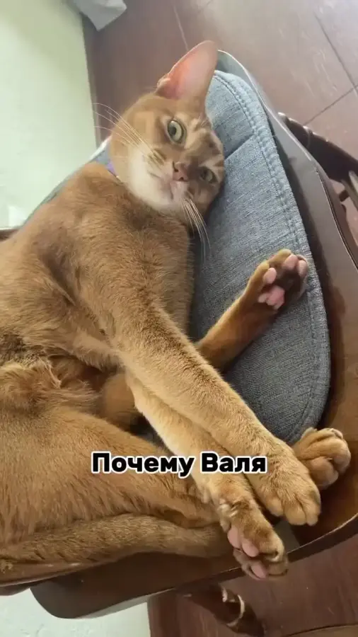 Мои мысли перед сном (Звук)