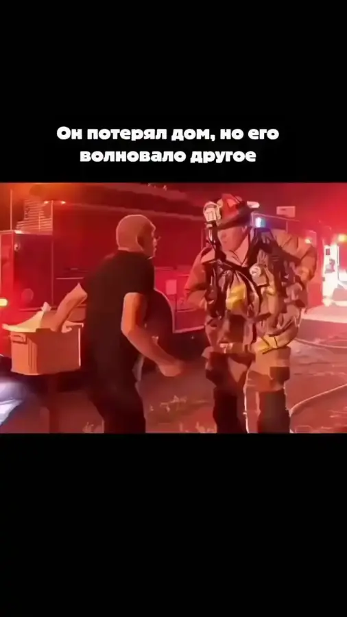 Несмотря ни на что- милота