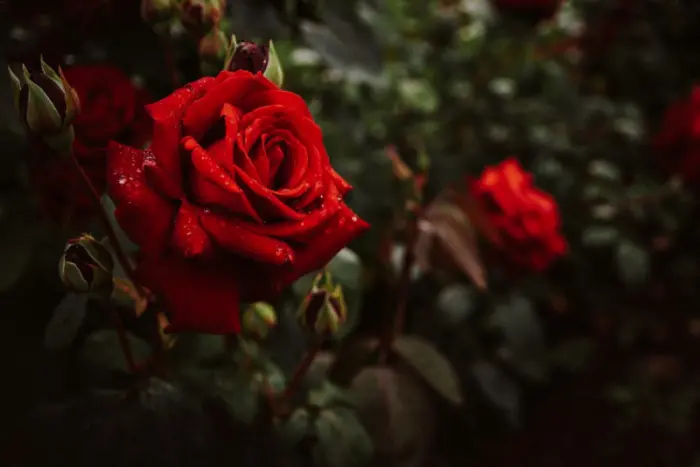 Новая коллекция случайных, но любопытных изображений