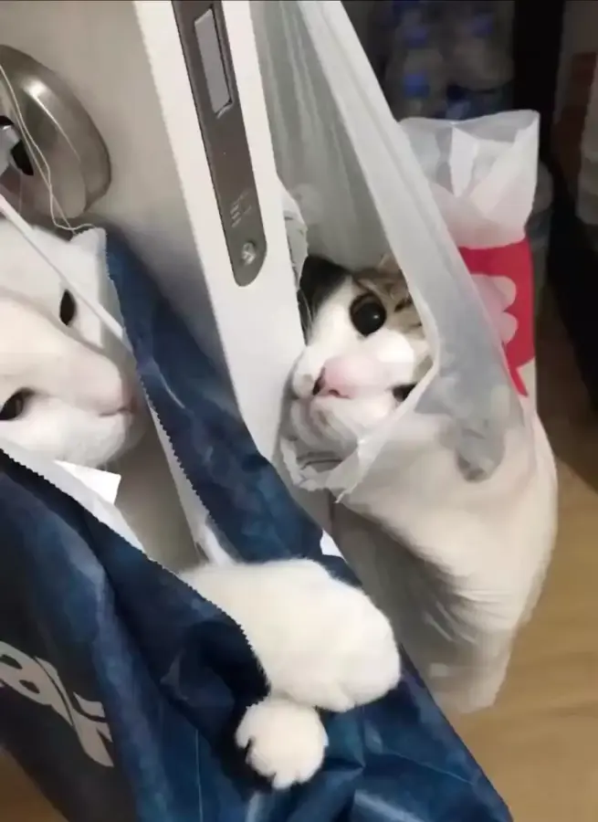 Отстаньте, нам тут удобно