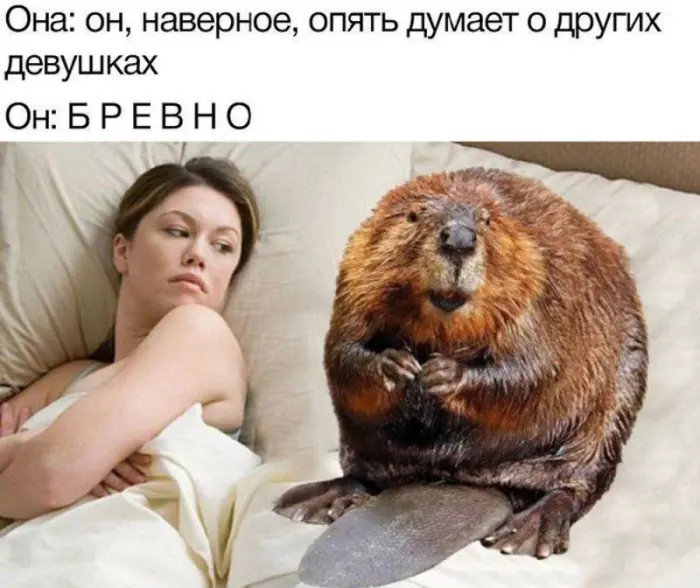 Подборка юмора, мемов и тех самых баянов