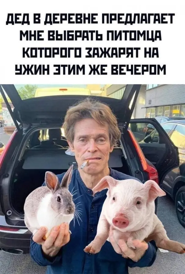 Подборка картинок для тех, кто любит посмеяться
