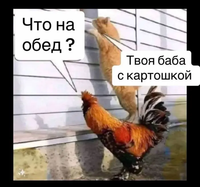 😄 Подборка, которая поднимет настроение за пару минут