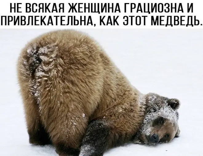 Подборка лучших интернет-мемов