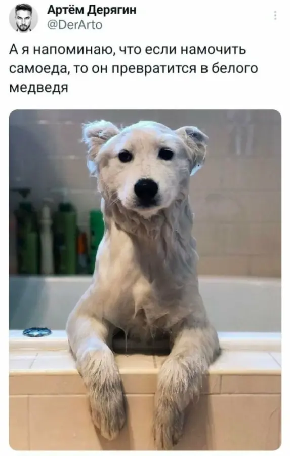 Поднимаем настроение