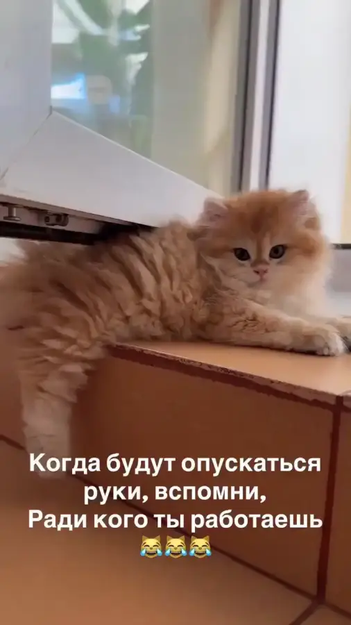Помните это всегда, дорогие)