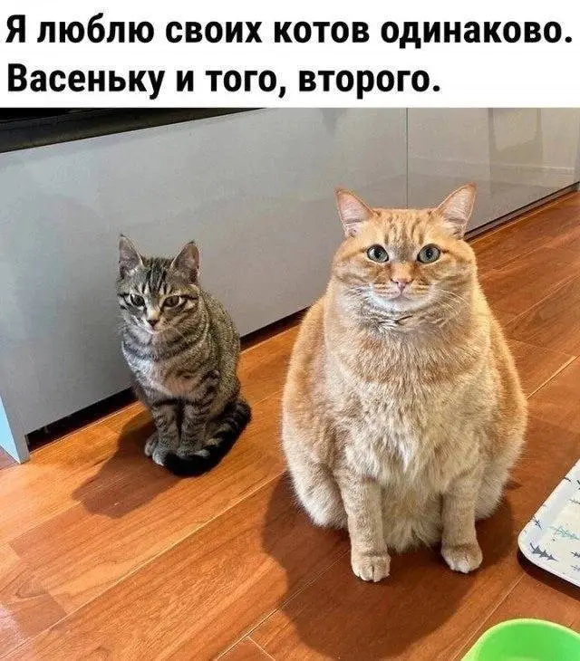 Порция хорошего настроения