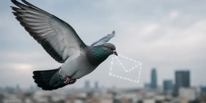 Roost — мессенджер, где сообщения носят виртуальные птицы