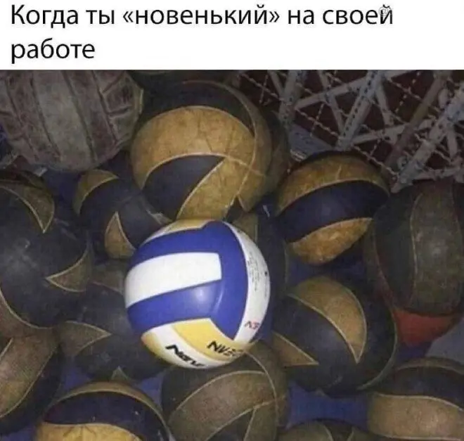 С юмором по жизни