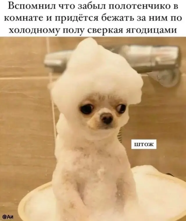 Самые смешные мемы и шутки, покорившие интернет