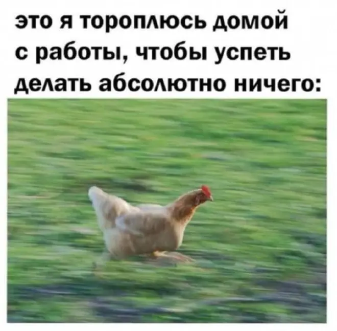 Самые смешные находки из Сети