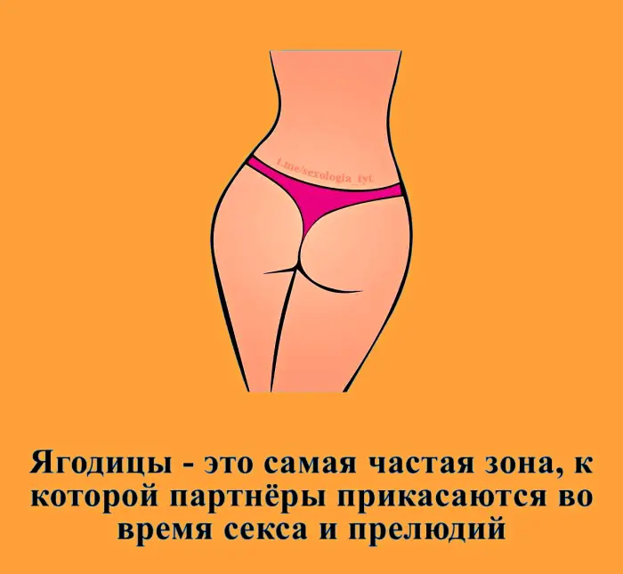 Сексуальная правда: 15 фактов, которым не научат в школе #391