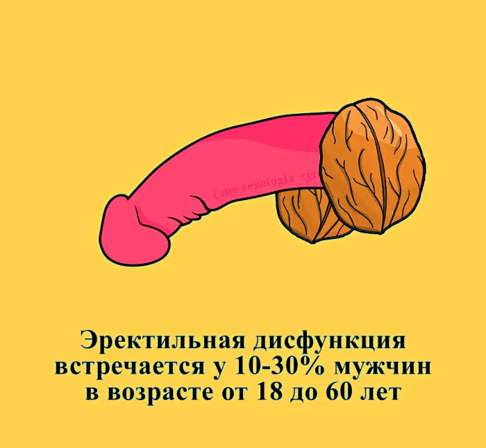 Сексуальная правда: 15 фактов, которым не научат в школе #398