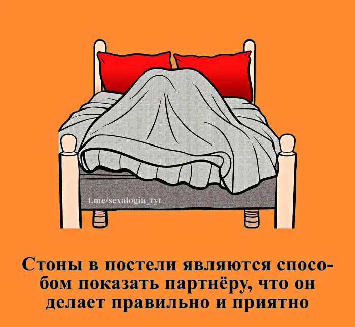 Сексуальная правда: 15 фактов, которым не научат в школе #408