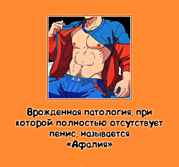 Сексуальная правда: 15 фактов, которым не научат в школе #412