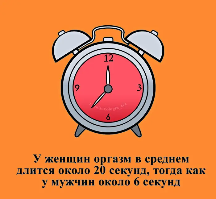 Сексуальная правда: 15 фактов, которым не научат в школе #414