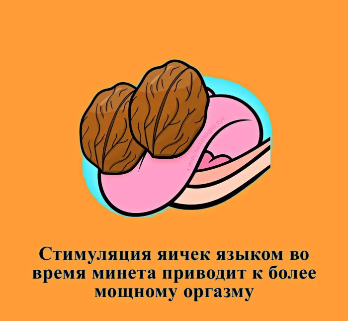 Сексуальная правда: 15 фактов, которым не научат в школе #428