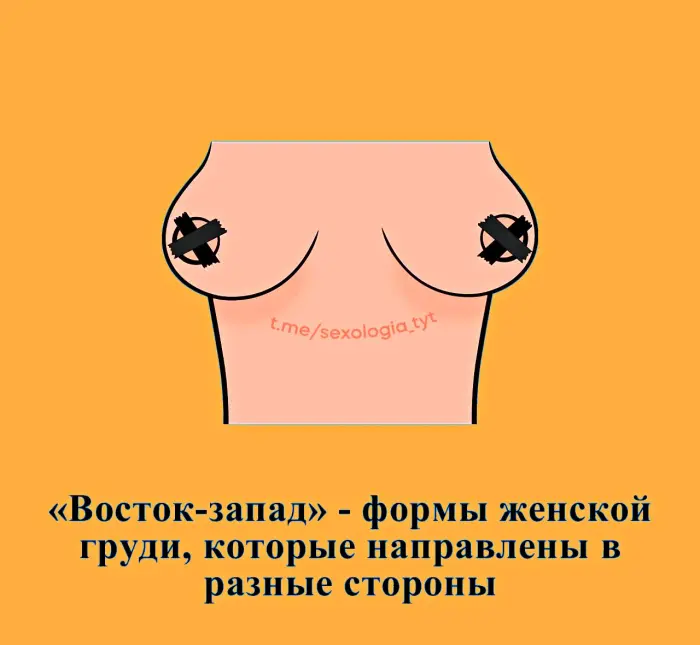 Сексуальная правда: 15 фактов, которым не научат в школе #431