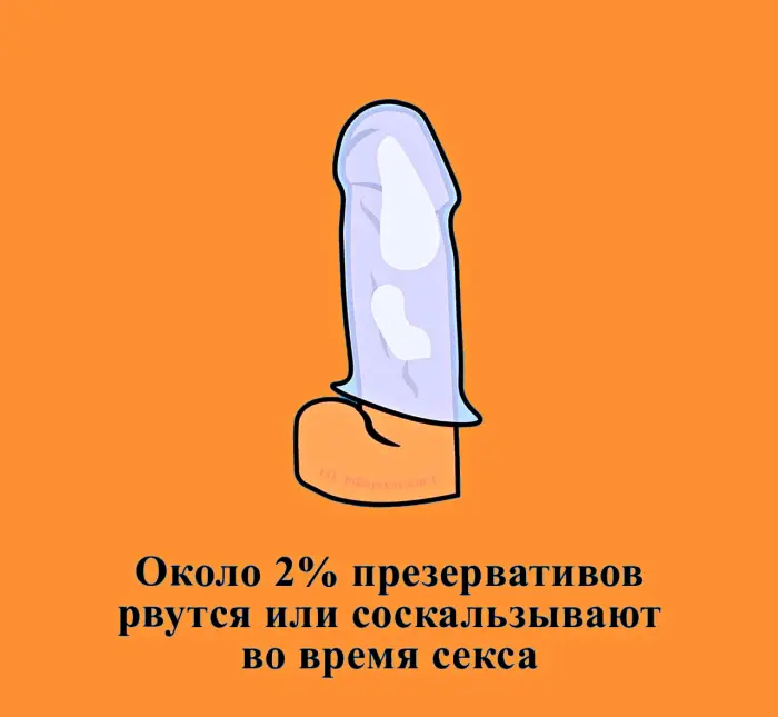 Сексуальная правда: 15 фактов, которым не научат в школе #436