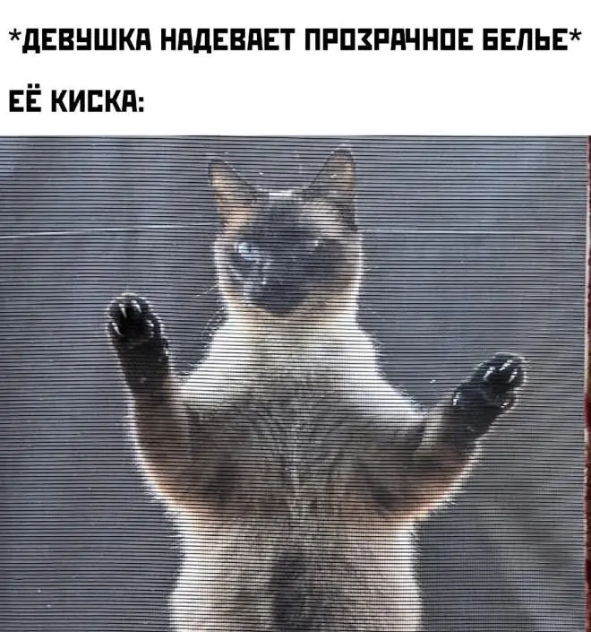 Смешной пост