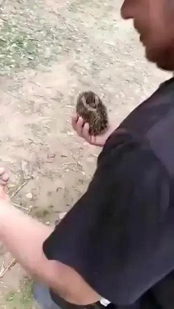 Спасибо за угощение