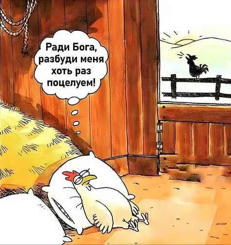 Свежая порция мемов и смешных картинок