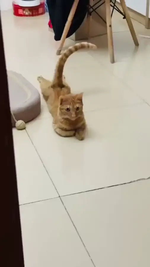 Связь с космосом