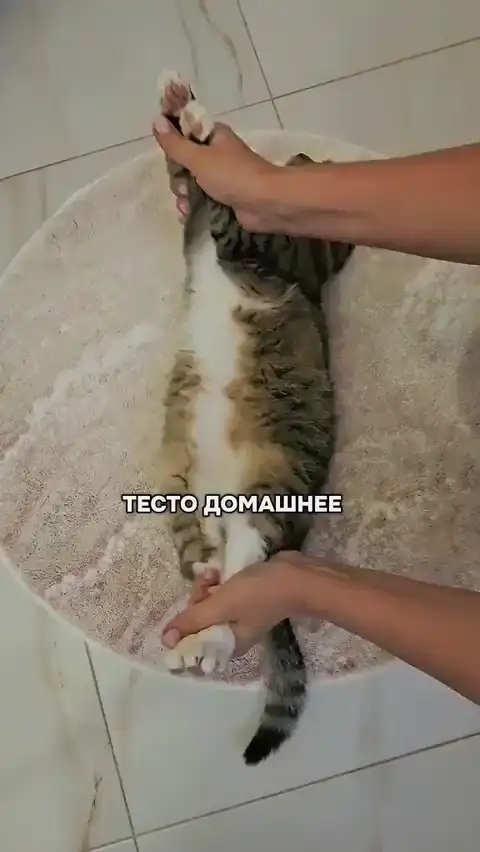 Тесто для самых вкусных булочек