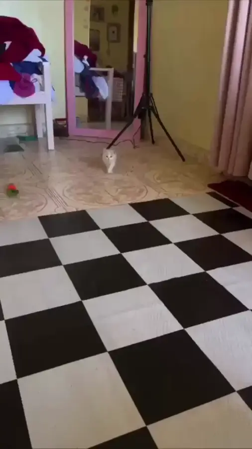 Устрашающий крадунец