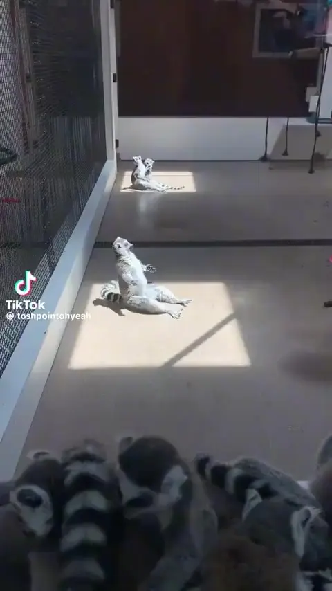 Узбагоился