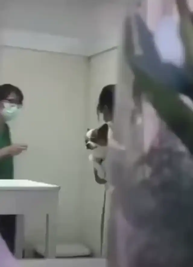 Уже всё?