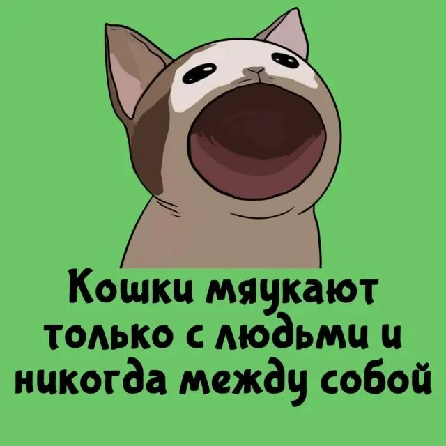 Возможно, вы этого не знали…