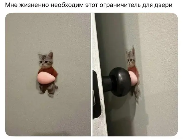 Забавные шутки и мемы из интернета