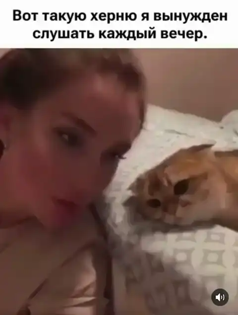 Жалко котейку...